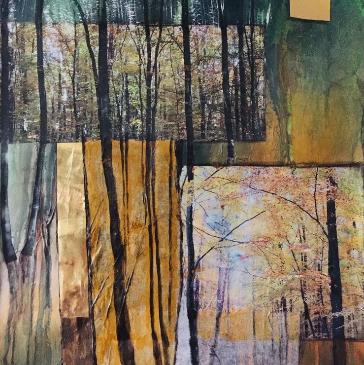 Collage (1) Wald 60x40
